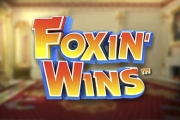 Foxin Wins