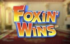Foxin Wins