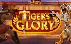 Tiger's Glory