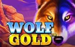 Wolf Gold